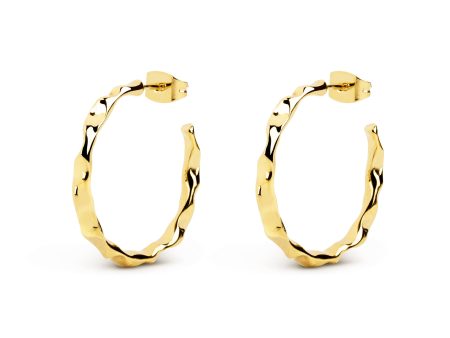 Lake Gold Hoop Earring Hot on Sale