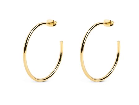 Anka Gold Hoop Earrings Sale