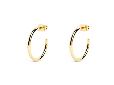 Ank Gold Hoop Earrings Online now