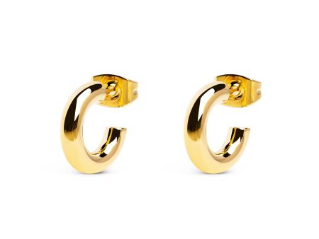 Aro Nai Gold Hoop Earrings For Sale