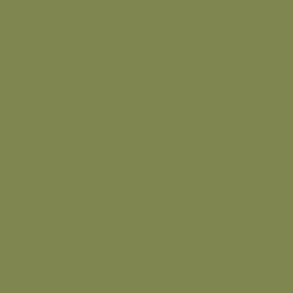 No. W56 Sap Green by Farrow & Ball Online now