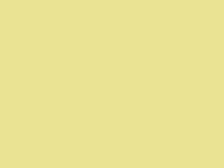 No. 9802 Butterweed by Farrow & Ball Online now